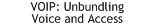 White Paper: VoIP - Unbundling Voice from Access